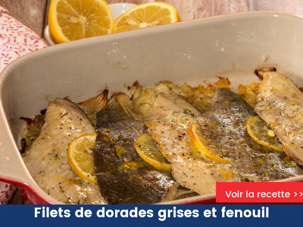 Filets de dorades grises, sur tombée de fenouil